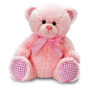 Pink Teddy Bear