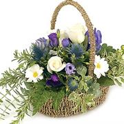 Blue Basket