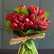 Red Tulip Hand Tied Bouquet
