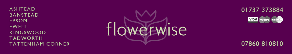 Flowerwise Florist